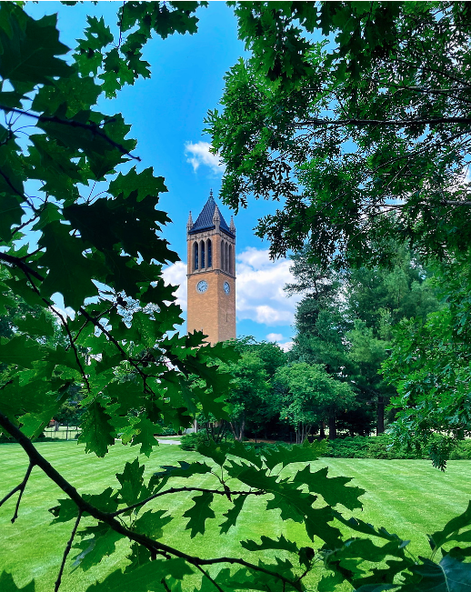 Image of Iowa State's campanile peaking through green foliage.