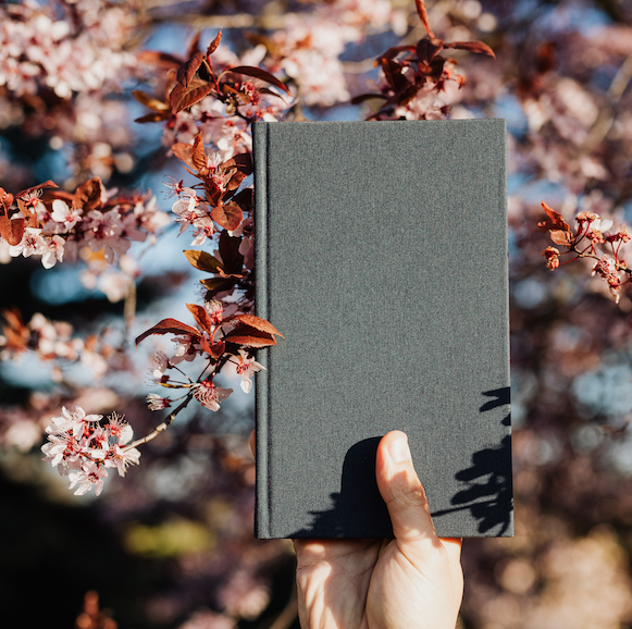a book set against cherry blossoms