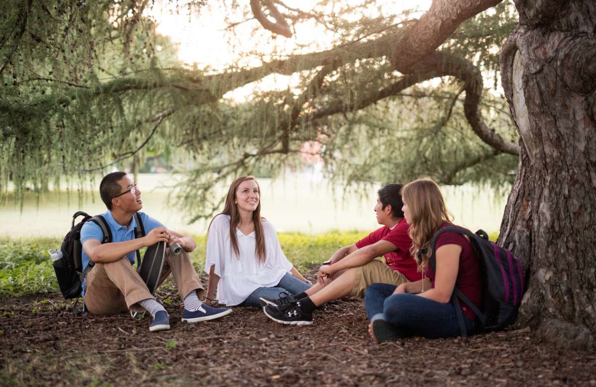 a group of students studying under a weeping willow tree by Lake Laverne